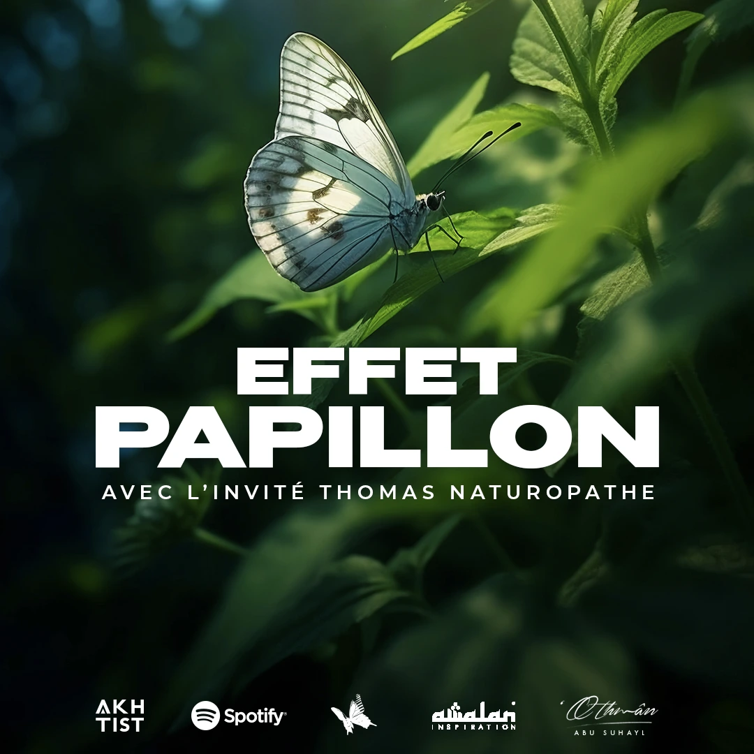 effet papillon