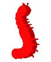idée akhtist