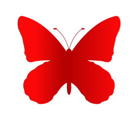 papillonakhtist